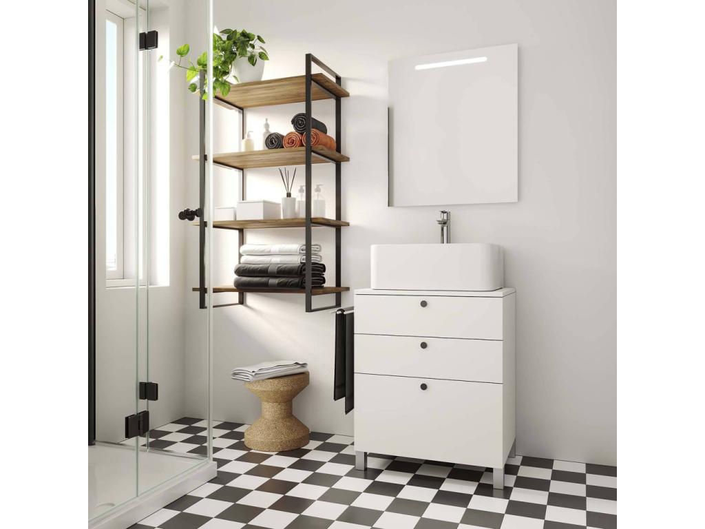 Metal frame shelving unit with Lader shelves